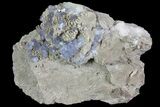 Purple/Gray Fluorite Cluster - Marblehead Quarry Ohio #81192-1
